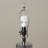 Lamons Shell Table Lamp