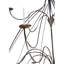 Polonaise 15 - Light Chandelier