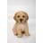 Sitting Retriever Puppy Statue