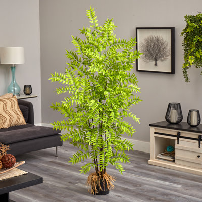 Tree in Pot Liner