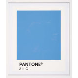 Color Swatch Print