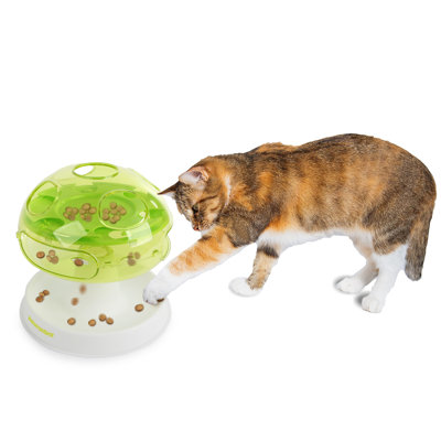 Enrichissement interactif de chat à champignon Interactives