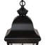 Luminaire suspendu lanterne à 2 lumières Palmer