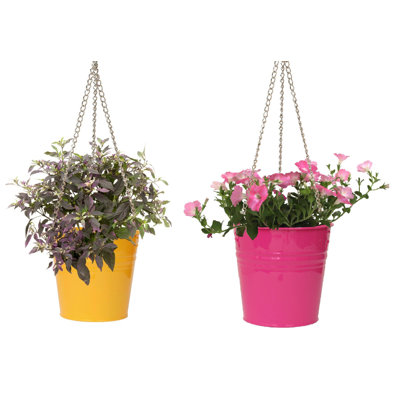 Arnkell Metal Hanging Planter