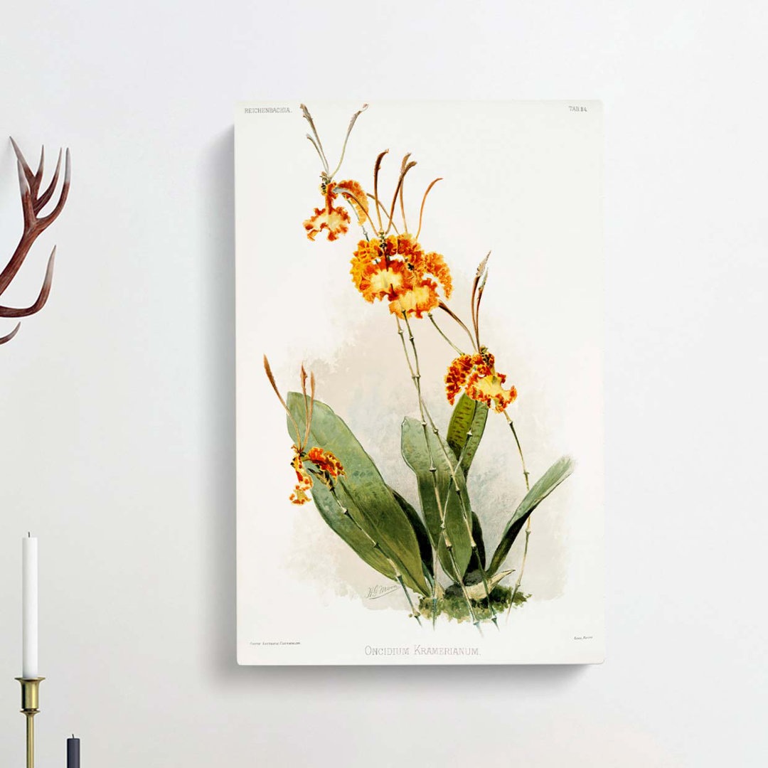 Magnolia Flowers Illustration Tab.84 by Frederick Sander - Wrapped Canvas