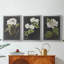 Dramatic White Flowers I - Toile tendue avec châssis sur mesure - 3 pièces-533483765-533483760