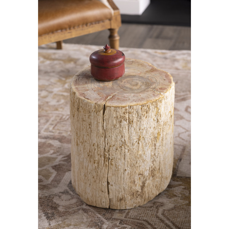 Petrified Solid Wood Tree Stump End Table