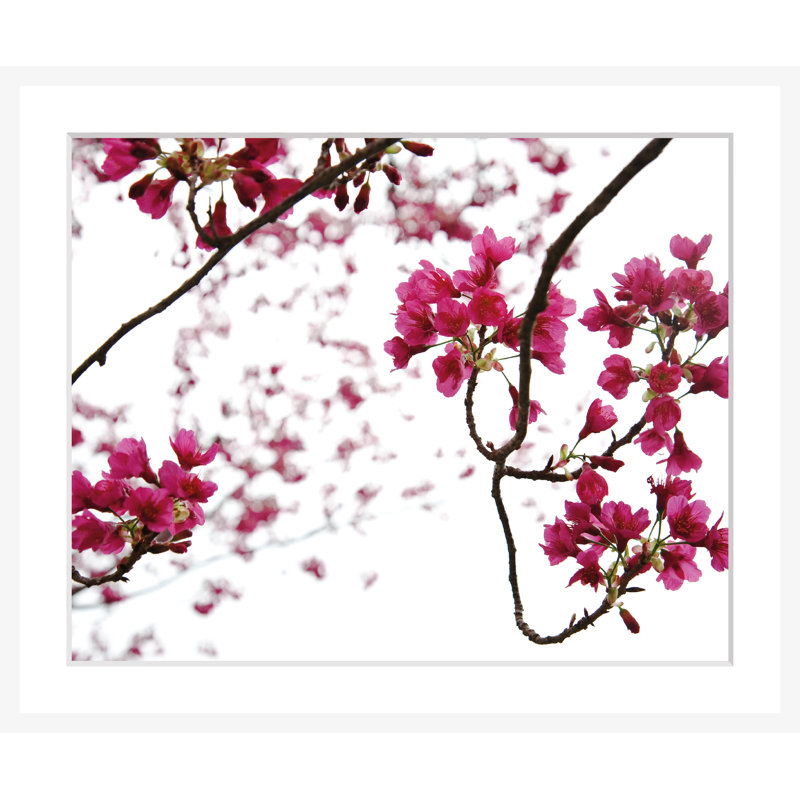 Flowers - Single Picture Frame Print