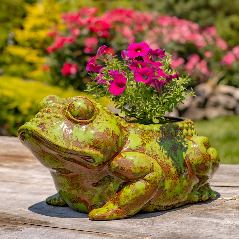 17in. Hand Painted Ceramic Frog Planter - Rayne