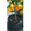 Ensemble de culture Air-Pot-63175271-63175270