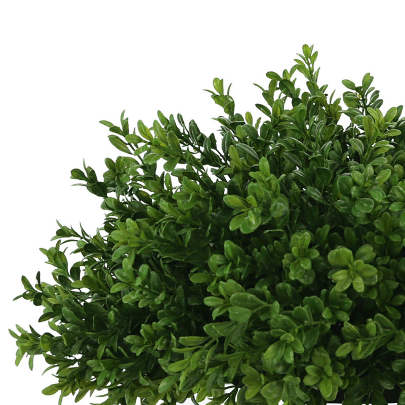 Arrangement de buis Weatherhill Johari dans un vase en céramique