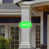 Vert lime
