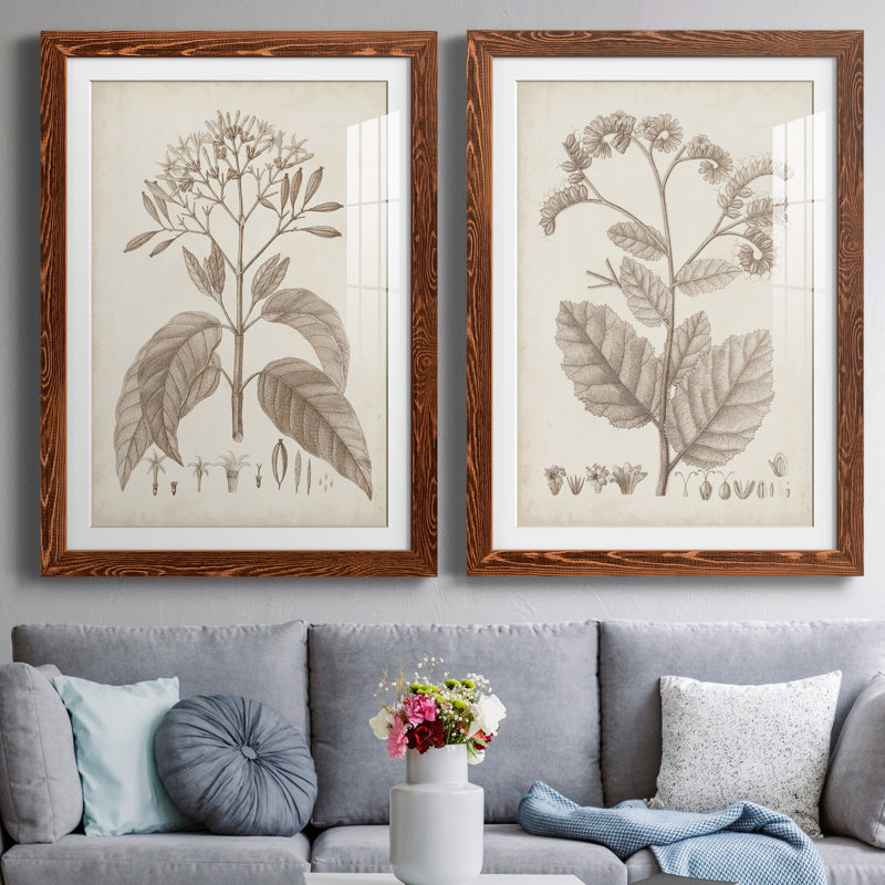 Antique sépia botanicals III - ensemble de 2 reproductions d'art sur papier encadré, H 37,5 po x l 55 po x P 1,5 po