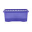 Wham Crystal 5 Piece Bundle Tint Spectrum Blue