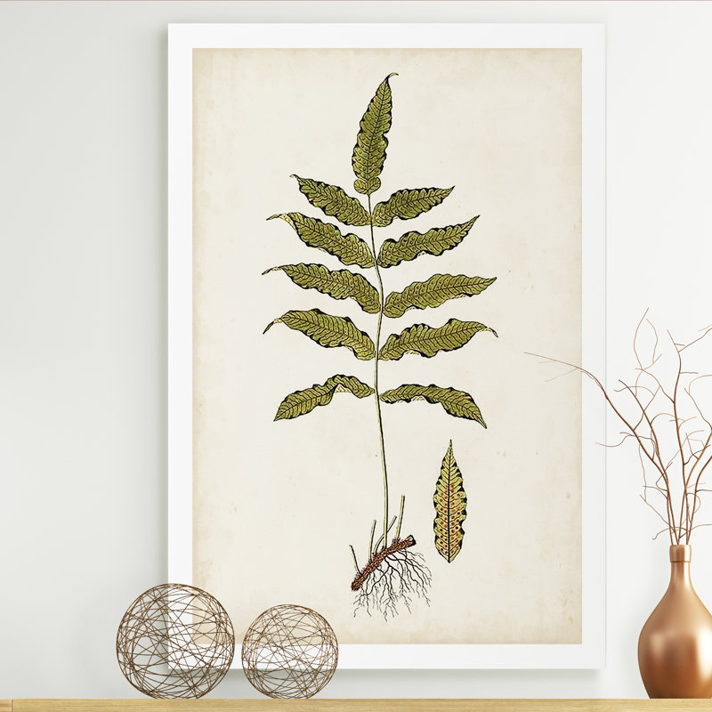 « palm botanique iii »-impression sur toile, H 48 po x l 36 po x P 1 po, Toile tendue
