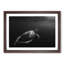 Sea Turtle in Abstract - Picture Frame Graphic Art Print-55764444-55764445
