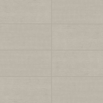 Carrelage mural en porcelaine 12 po x 24 po The Tile Life