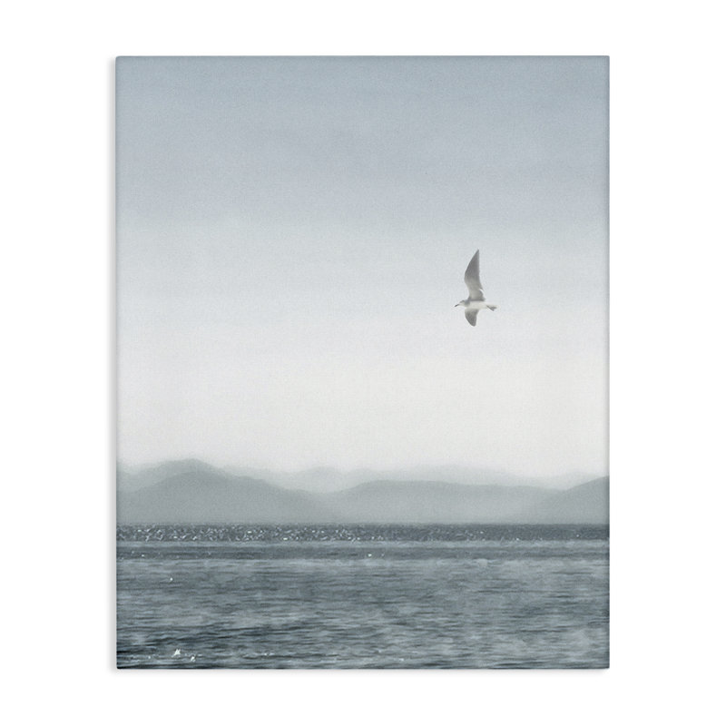 Art mural sur toile «Lone Gull over Sea» par Noah Bay, H 20 po x l 16 po