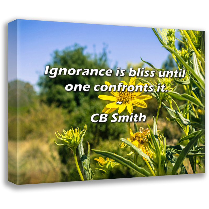 CB Smith Quote: Ignorance is bliss until one confronts it., 15" H x 18" W
