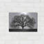 «The Tree» par John Jones-1754894814