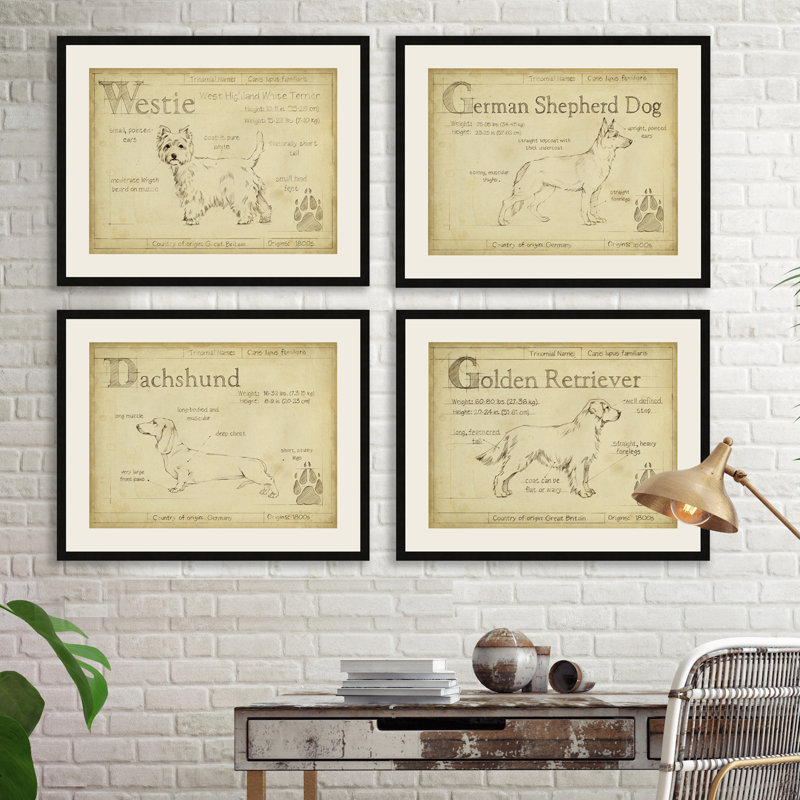Antique Yellow Canine Study Framed Paper Print with Black Wooden Frame