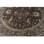 Wool Oriental Area Rug