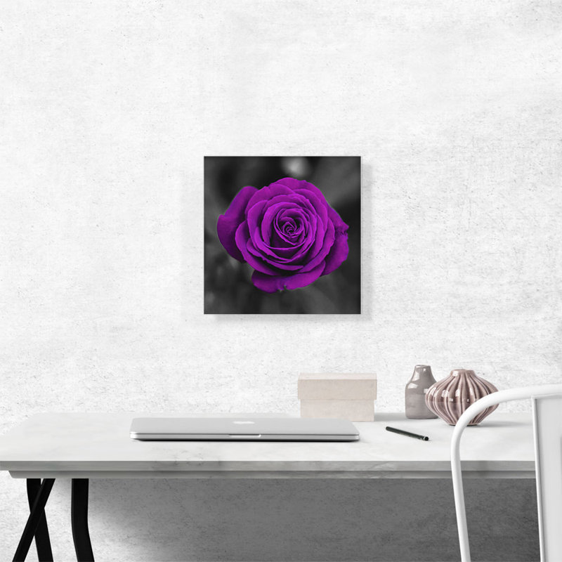 Mauve rose dans un jardin - reproduction de photo sur toile tendue, H 12 po x l 12 po x P 0,75 po