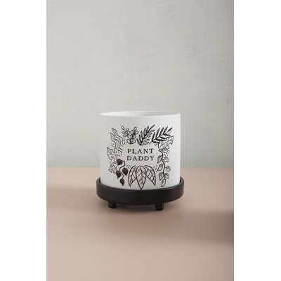 Ceramic Pot Planter