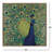 Peacock Plumage Canvas