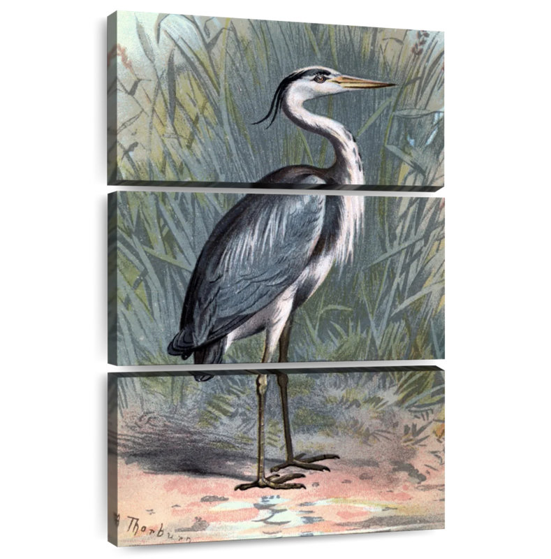 Brampt Heron