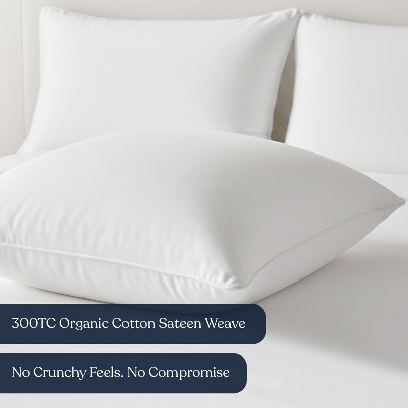 Delara 22" x 22" Lumbar Pillow Inserts – Set of 2, Organic Cotton, Recycled Down-Alternative Fill, Square 22" x 22"