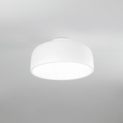 Camille Acrylic Flush Mount