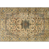 Oriental Indoor Rug