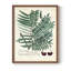 Collection de fougères tirées, reproduction encadrée - bois massif-170669963-170669960