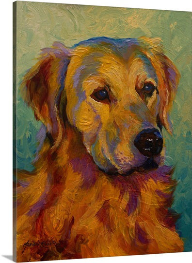 «Ankita Golden Retriever», reproduction d'art, H 24 po x l 18 po x P 1,5 po, Toile