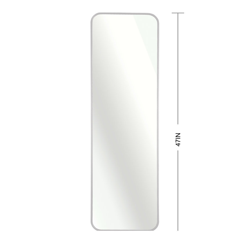 47 x 14IN Door mirror.(W2203P182160), Silver