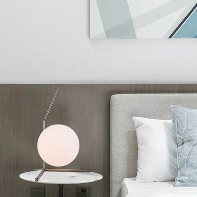 Modern 1 Light Globe Shade Table Lamp
