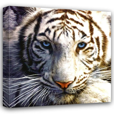 White Tiger