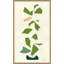 Vine Giclee Print by Susan Hable