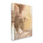 Abstrait de peinture mouillée, coups d'aquarelle brune-1186128455-1186130535