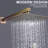 Rain Adjustable Shower Head 2.0 GPM GPM-66413418