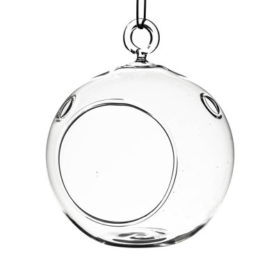 Alaynie Glass Hanging Planter