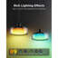  Luminaire suspendu