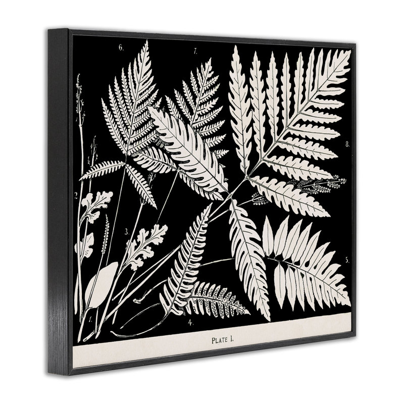 Giclée sur fond noir, conception de Phillipa Katz, H 11 po x l 14 po, Giclée encadrée noir minuit