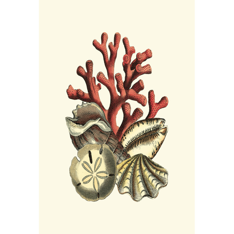 Corail Medley II, H 18 po x l 12 po x P 1 po