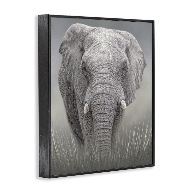 Estampe gracieuse Titan Elephant, giclée par Kelley Parker, H 20 po x l 16 po, Giclée encadrée noir minuit