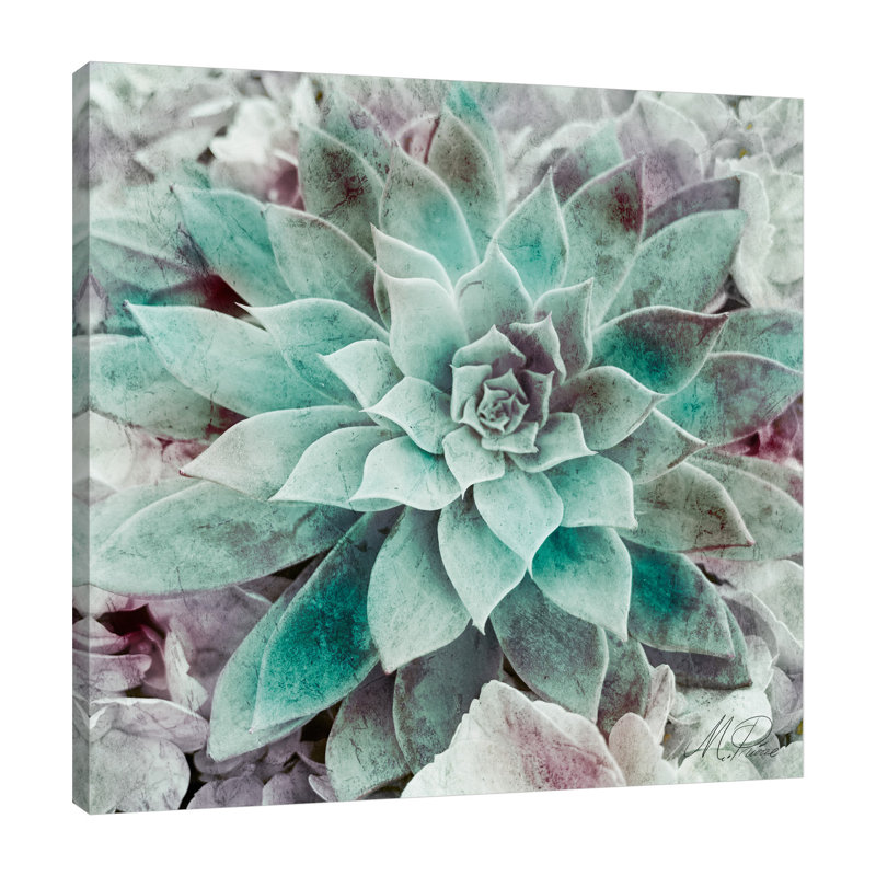«Springtime Succulents 2» par Marcus Prime, reproduction sur toile tendue, H 24 po x l 24 po x P 1,5 po