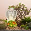 Shanteal Fairy Garden Fairy Garden