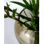 Dahntay Handmade Glass Table Vase-1805221705