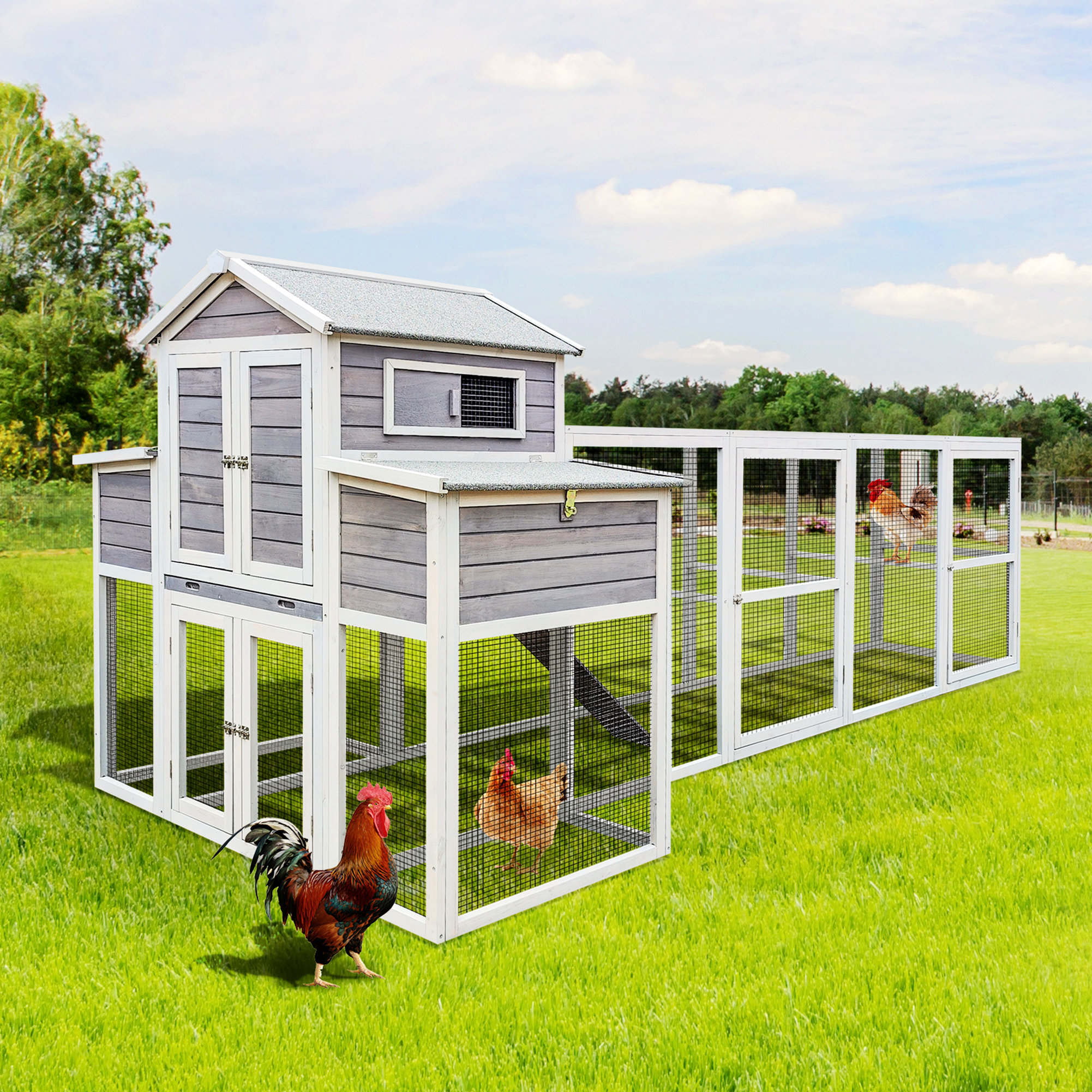 Tucker Murphy Pet™ Felizia Chicken Coop with Chicken Run For Up To 8